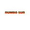 Rumbo Sur logo