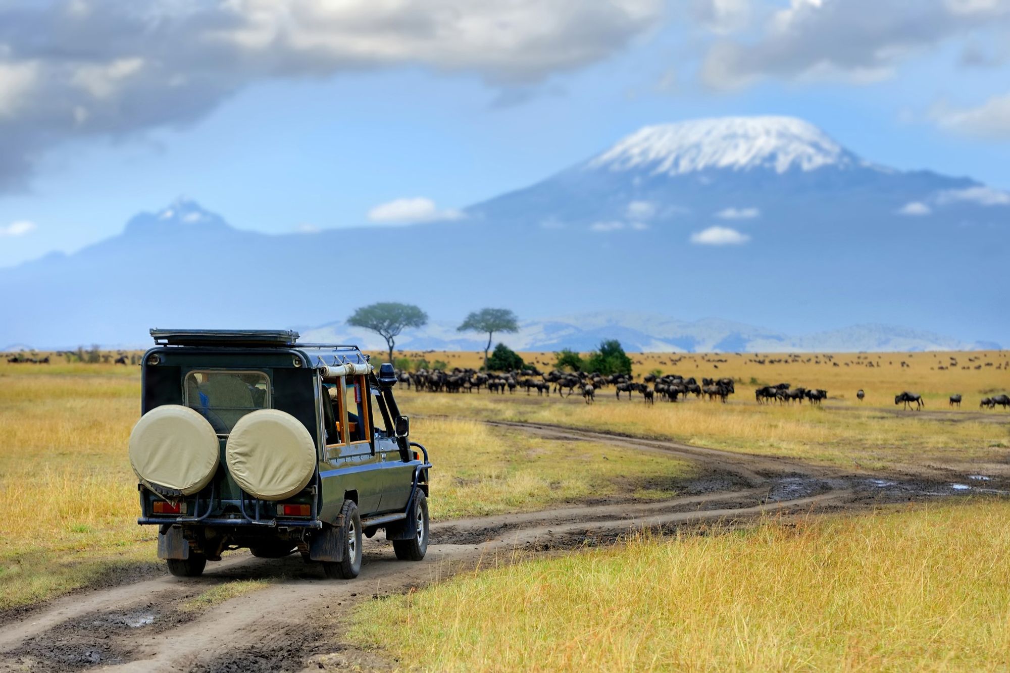 중앙의 매혹적인 배경 Serengeti National Park