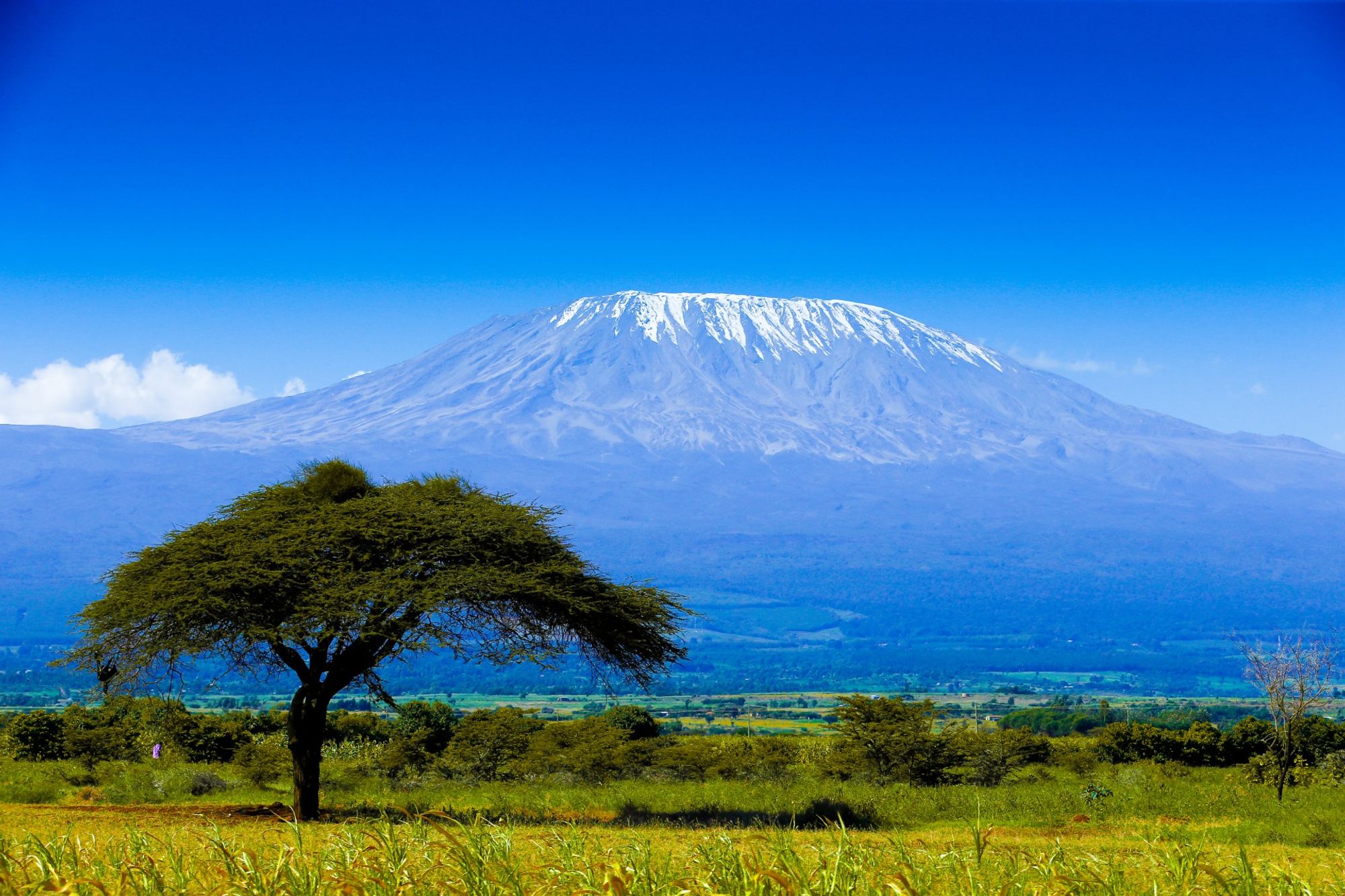 routes_hero-image-alt Kilimanjaro