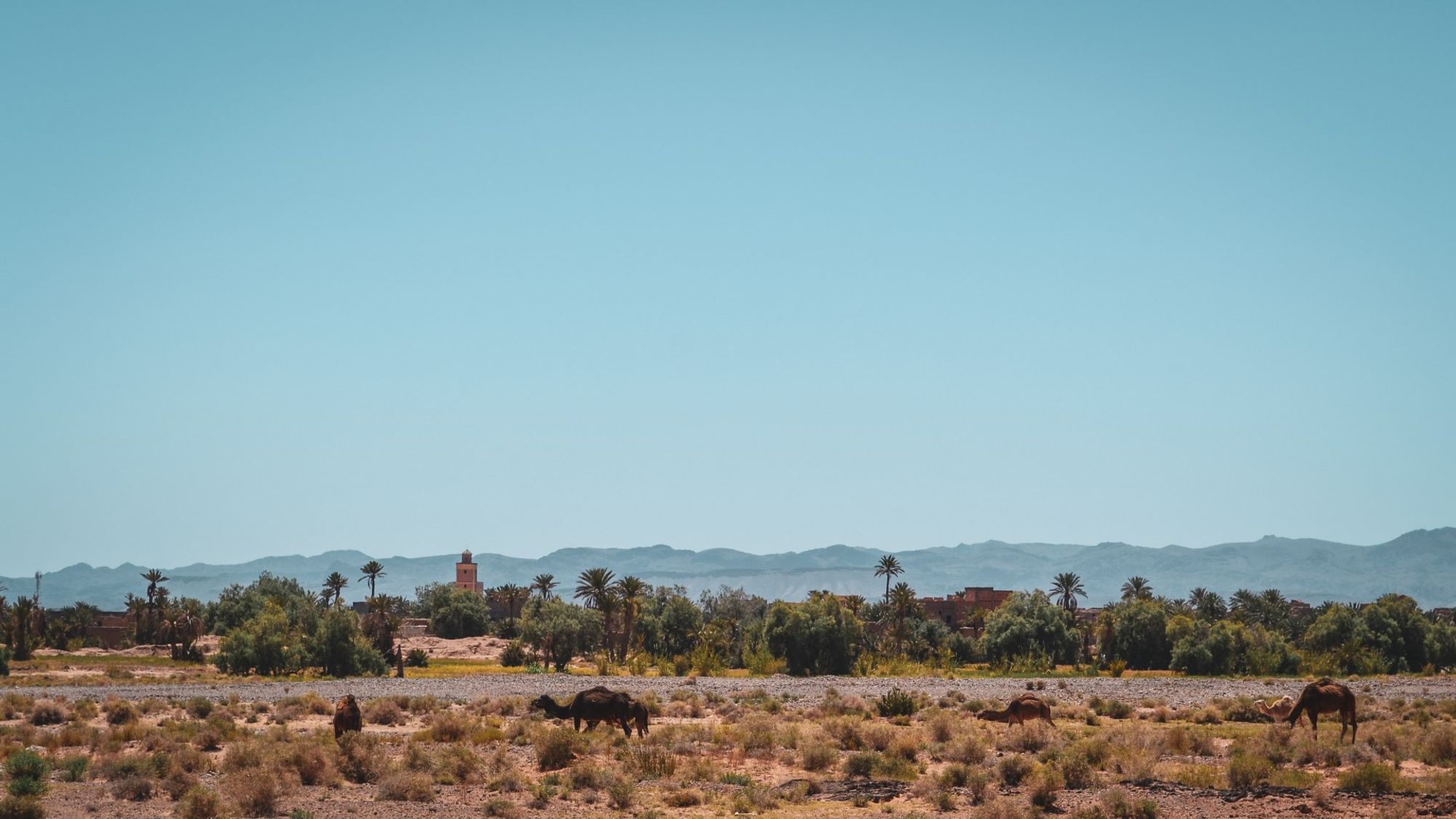 A captivating backdrop of central Tinejdad