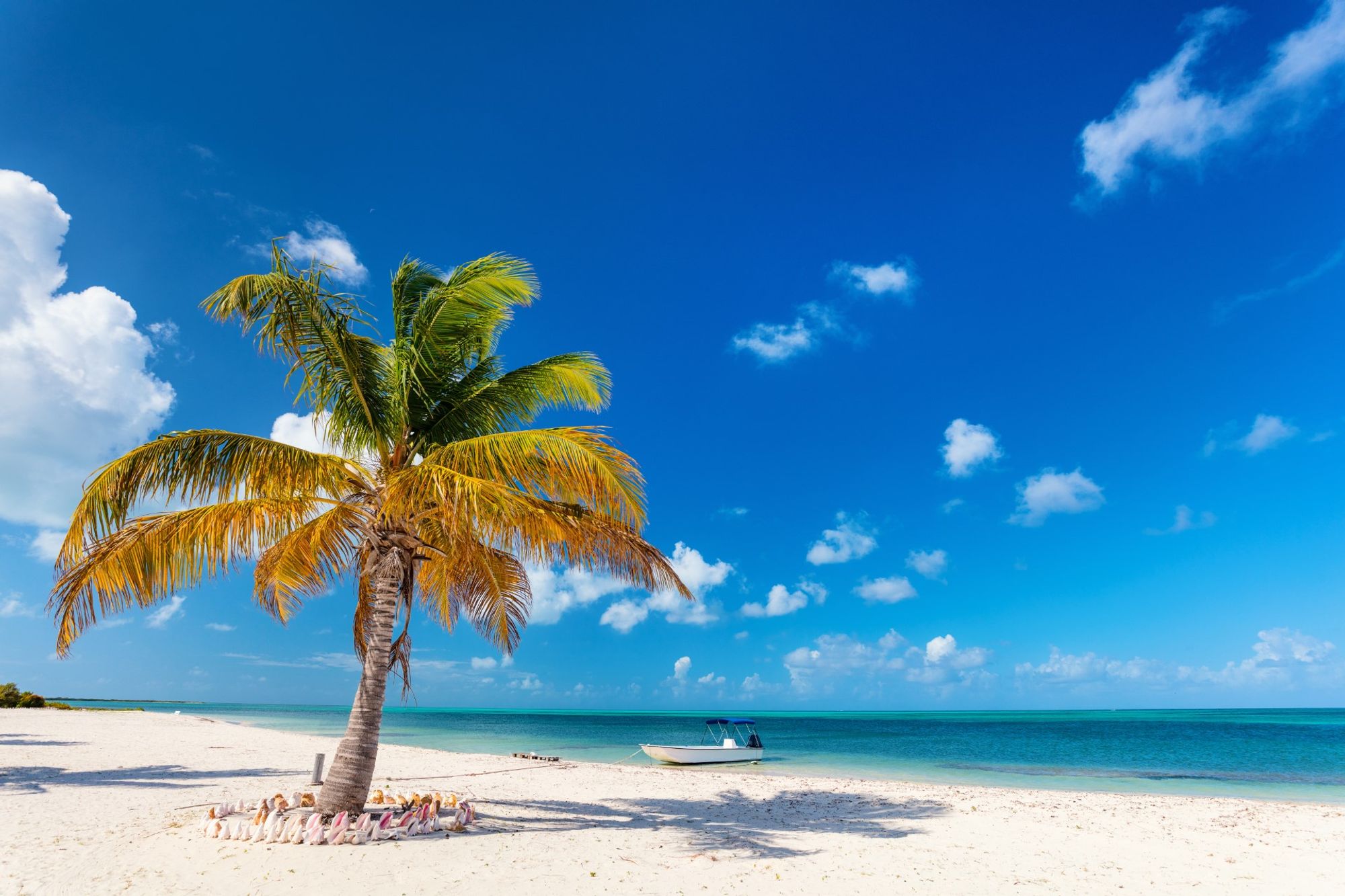 Een innemende achtergrond van centraal Caye Chapel Island