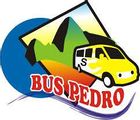 Bus Pedro logo