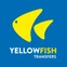 YellowFish Transfers logo