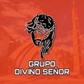 Divino Senor logo