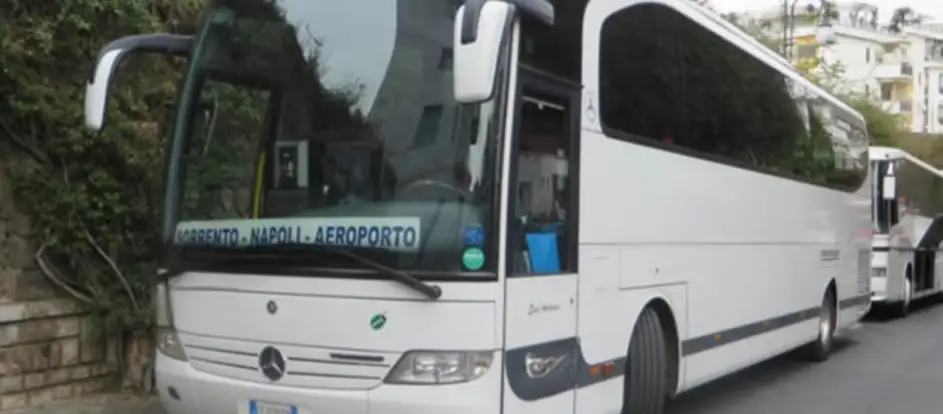 Napoli Official Tour 승객을 여행 목적지까지 운송