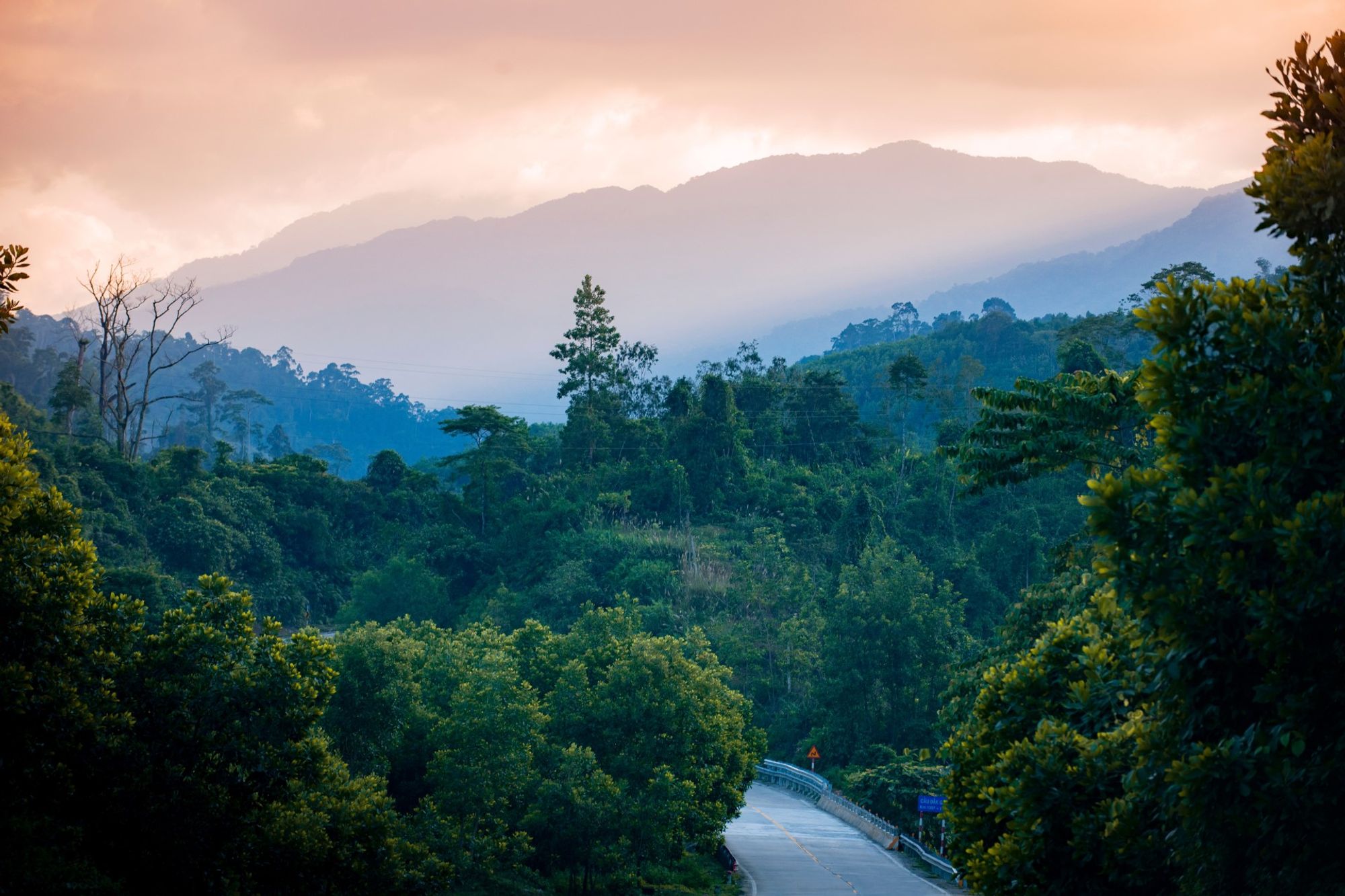 My Son Sanctuary สถานีภายใน Quang Nam, Vietnam