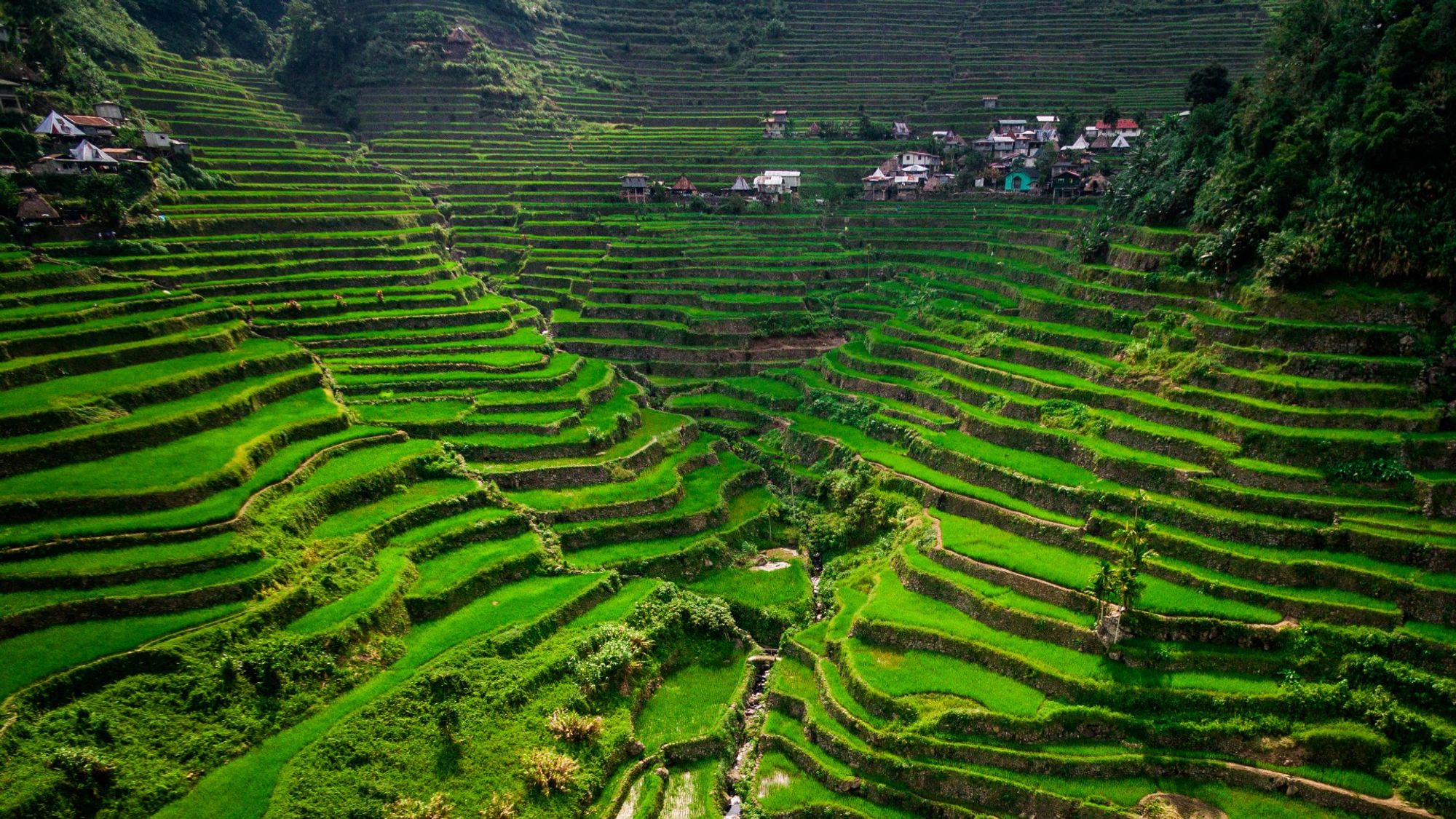 routes_hero-image-alt Ifugao