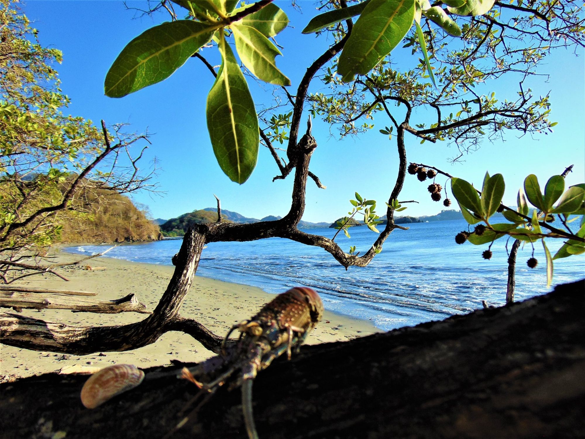 Sugar Beach - Hotel List station within Sugar Beach, Costa Rica