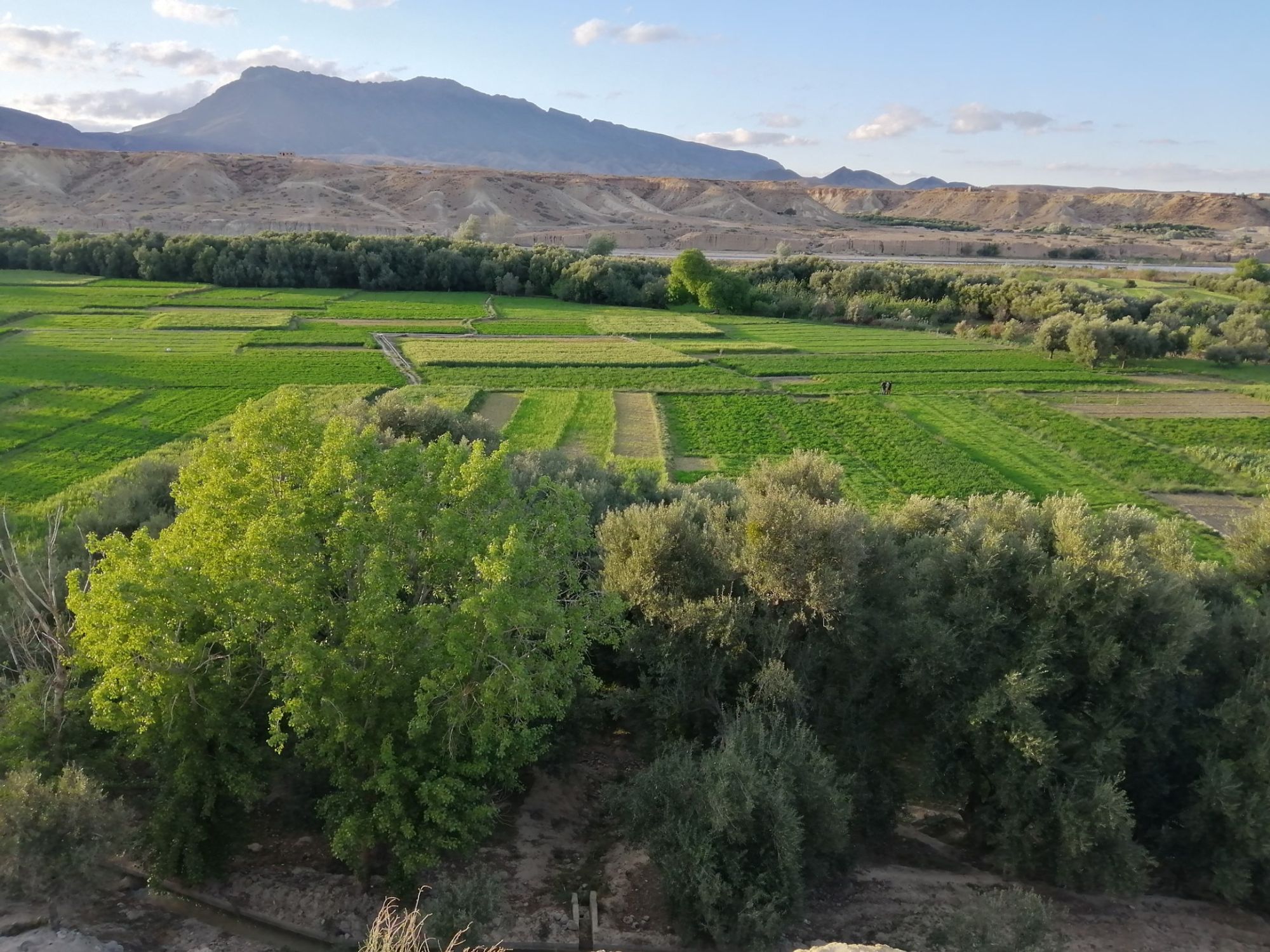 routes_hero-image-alt Guercif