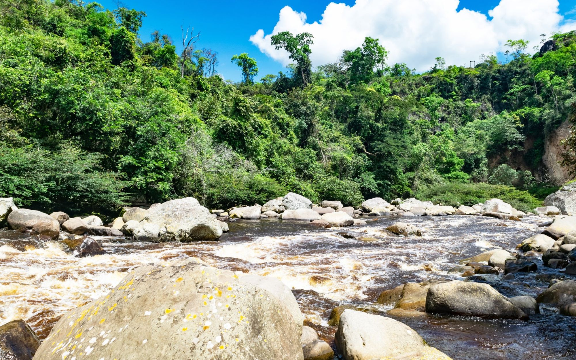 Pandi - Any hotel 駅内 Pandi, Colombia