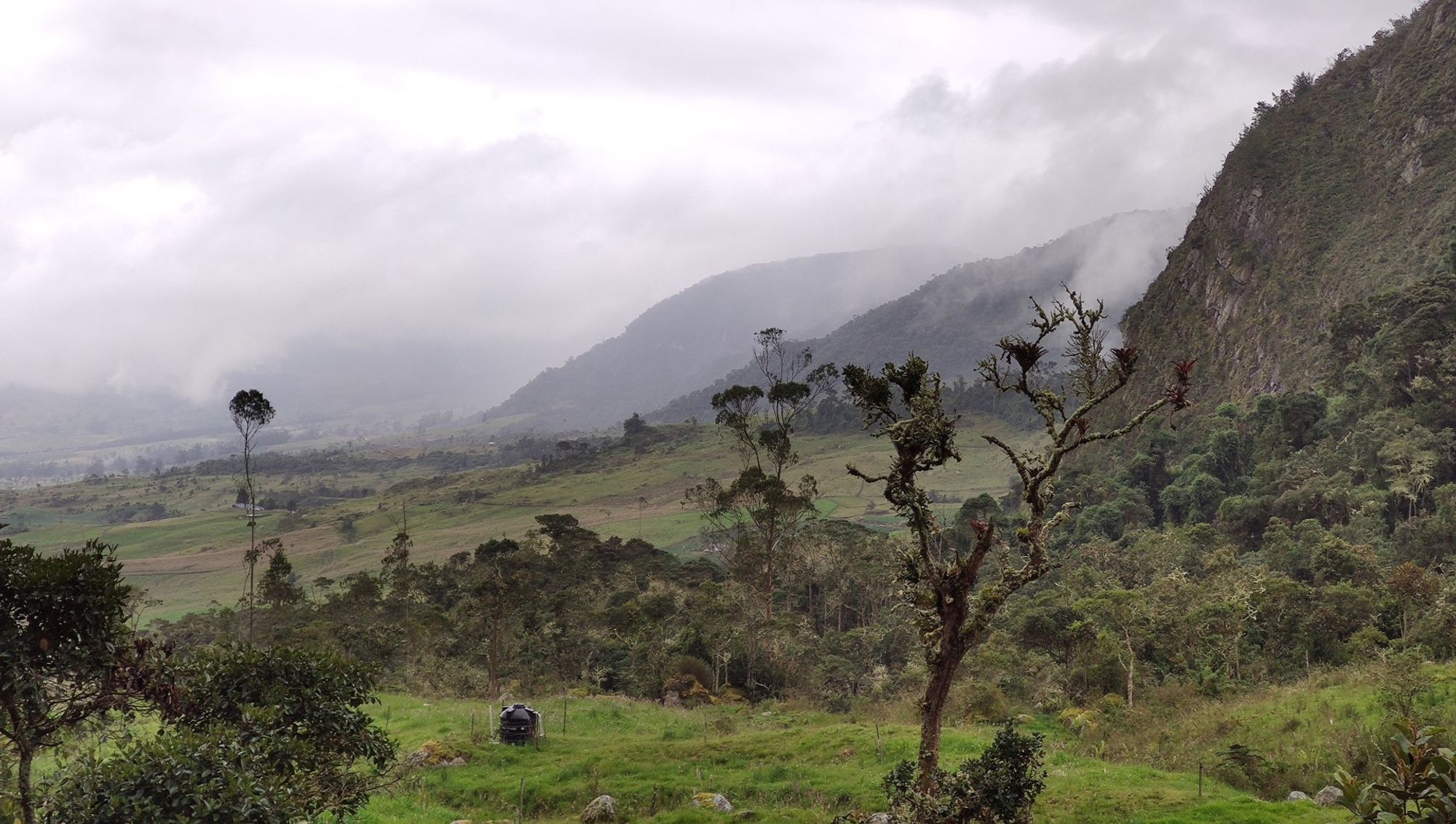 Fusagasuga - Any hotel 이내의 역 Fusagasuga, Colombia