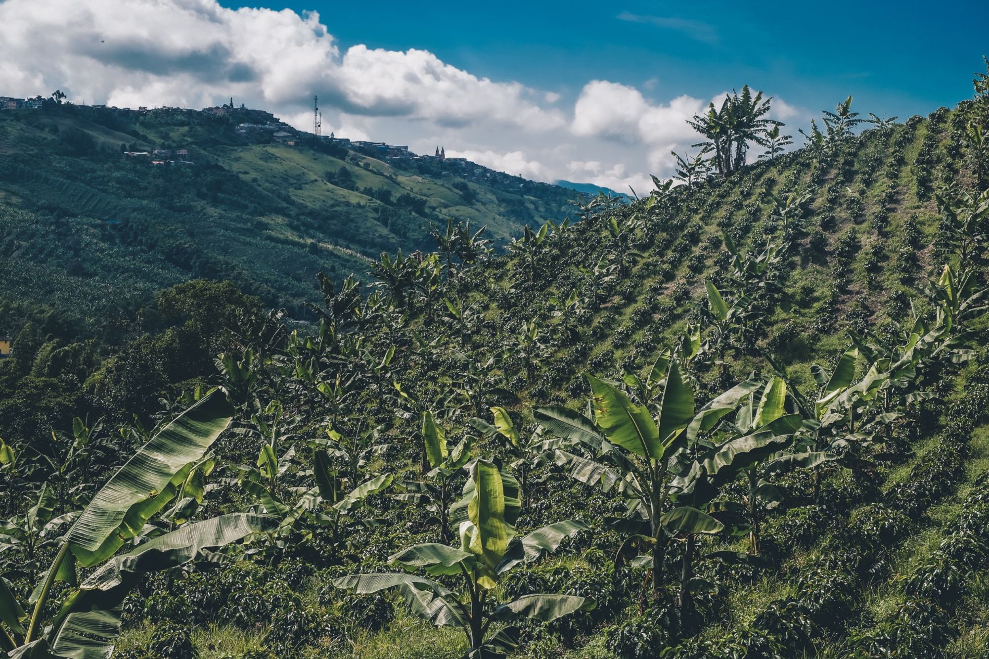 Завораживающий фон центральной станции Anserma