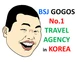 BSJ GoGos logo