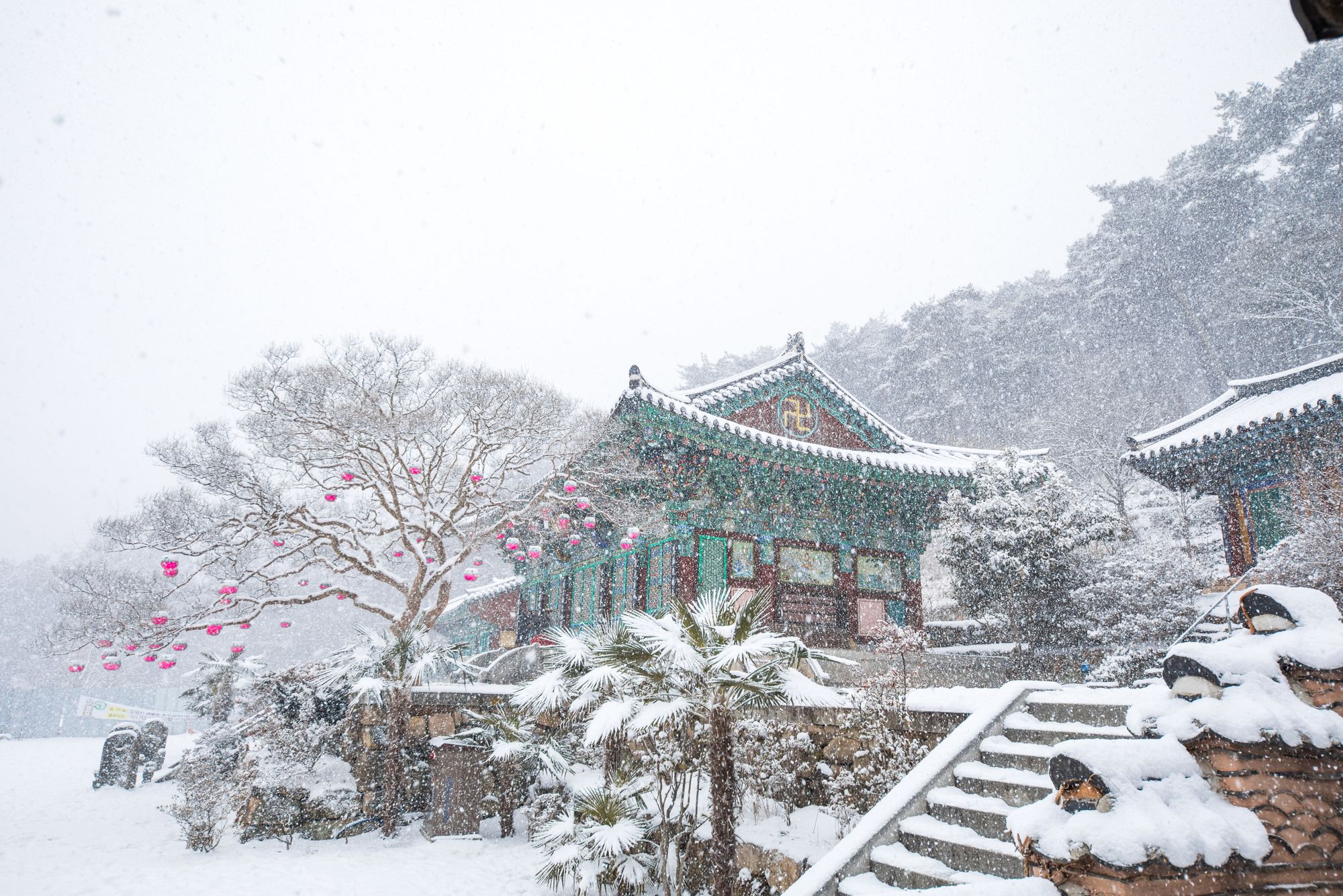 中心部の魅惑的な背景 Taebaek