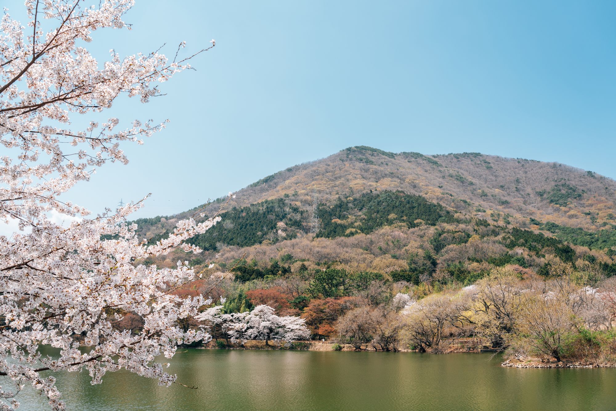 Завораживающий фон центральной станции Changwon