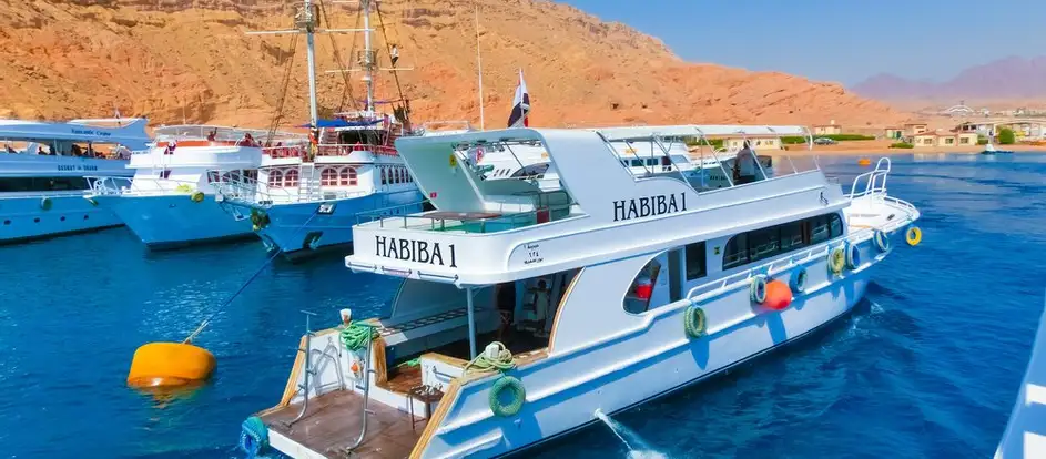 Hurghada Sky Tour portando i passeggeri alla loro destinazione di viaggio