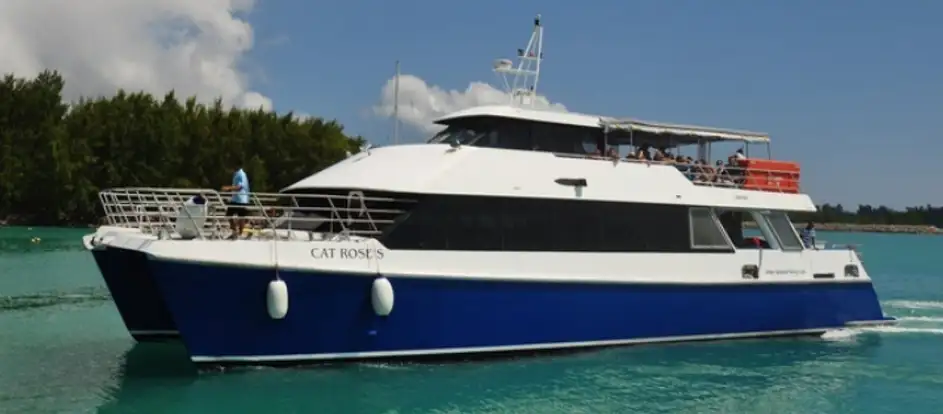 Inter Island Ferry 将乘客送到其旅行目的地