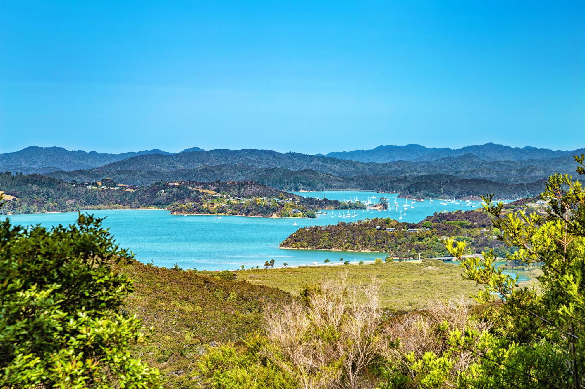 Eine bezaubernde Szenerie vom Zentrum aus Paihia