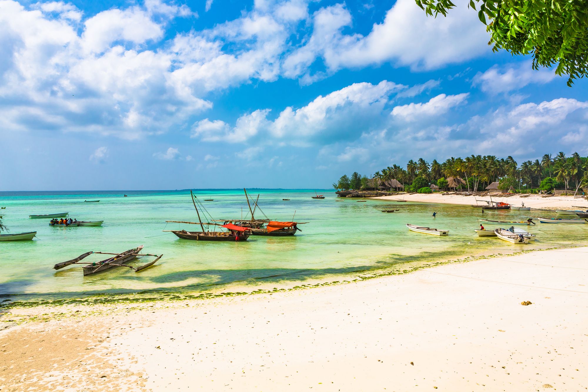 중앙의 매혹적인 배경 Fumba, Zanzibar Island