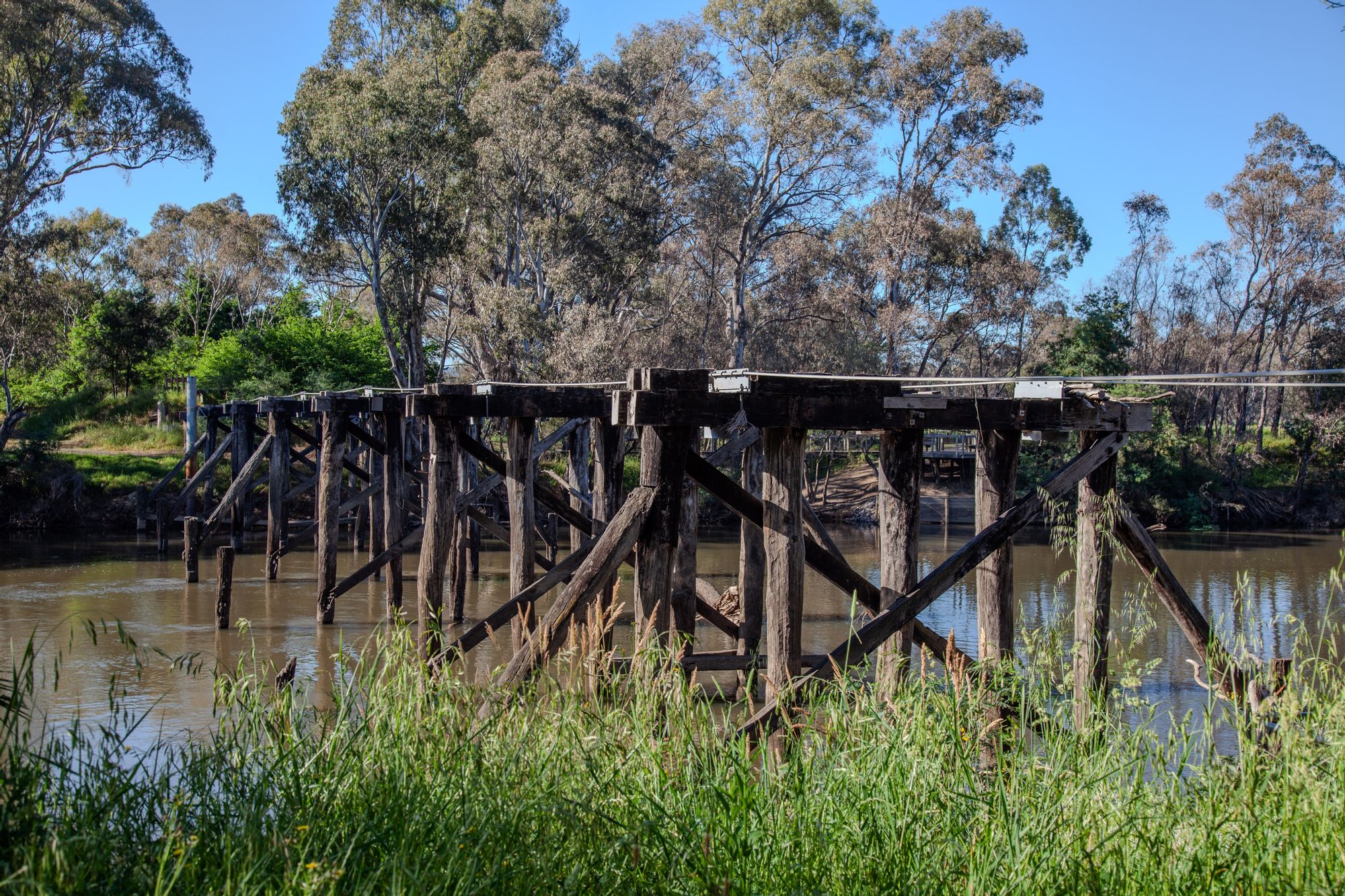 A captivating backdrop of central Seymour