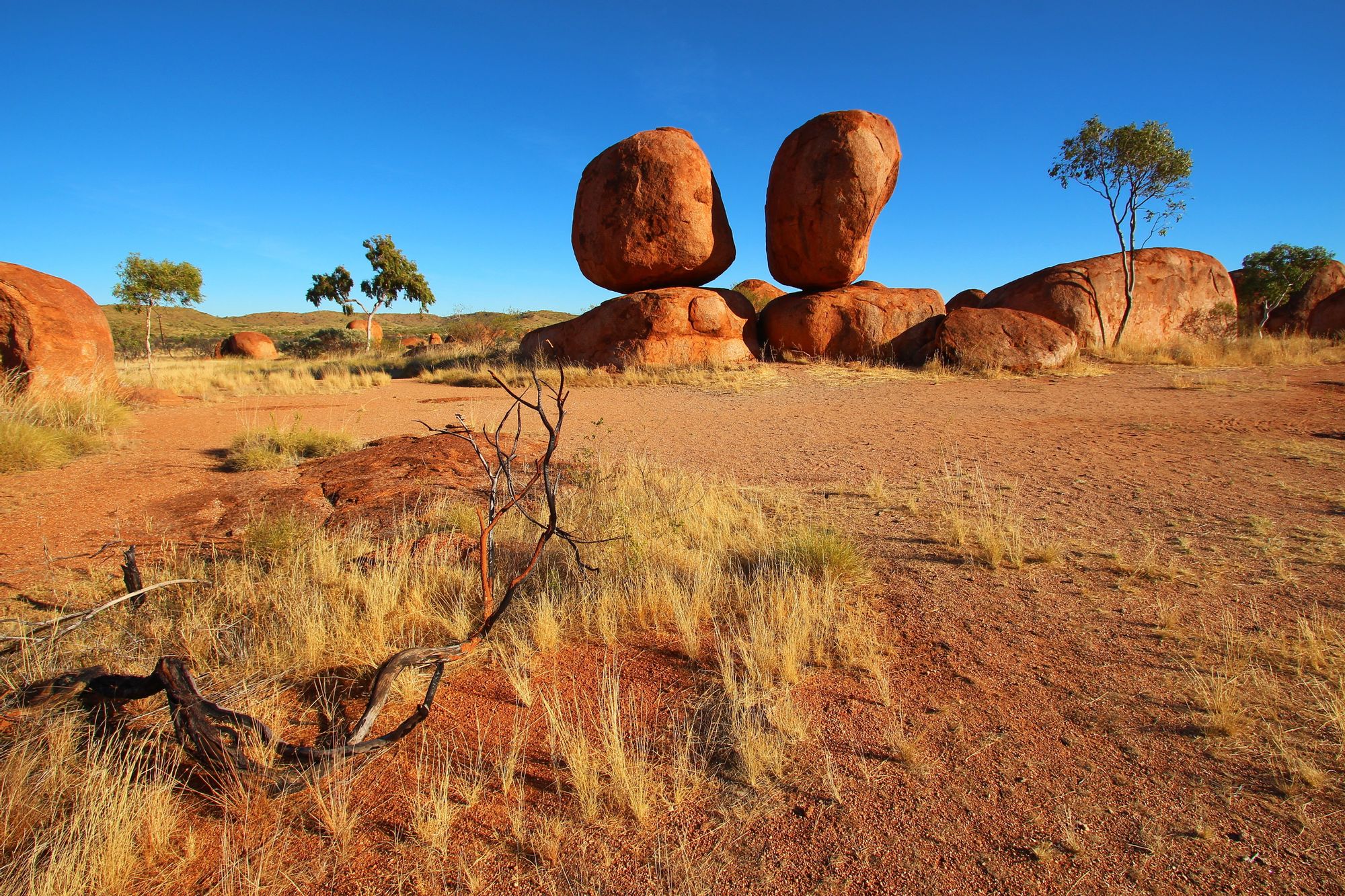 Greyhound Tennant Creek สถานีภายใน Tennant Creek, Australia