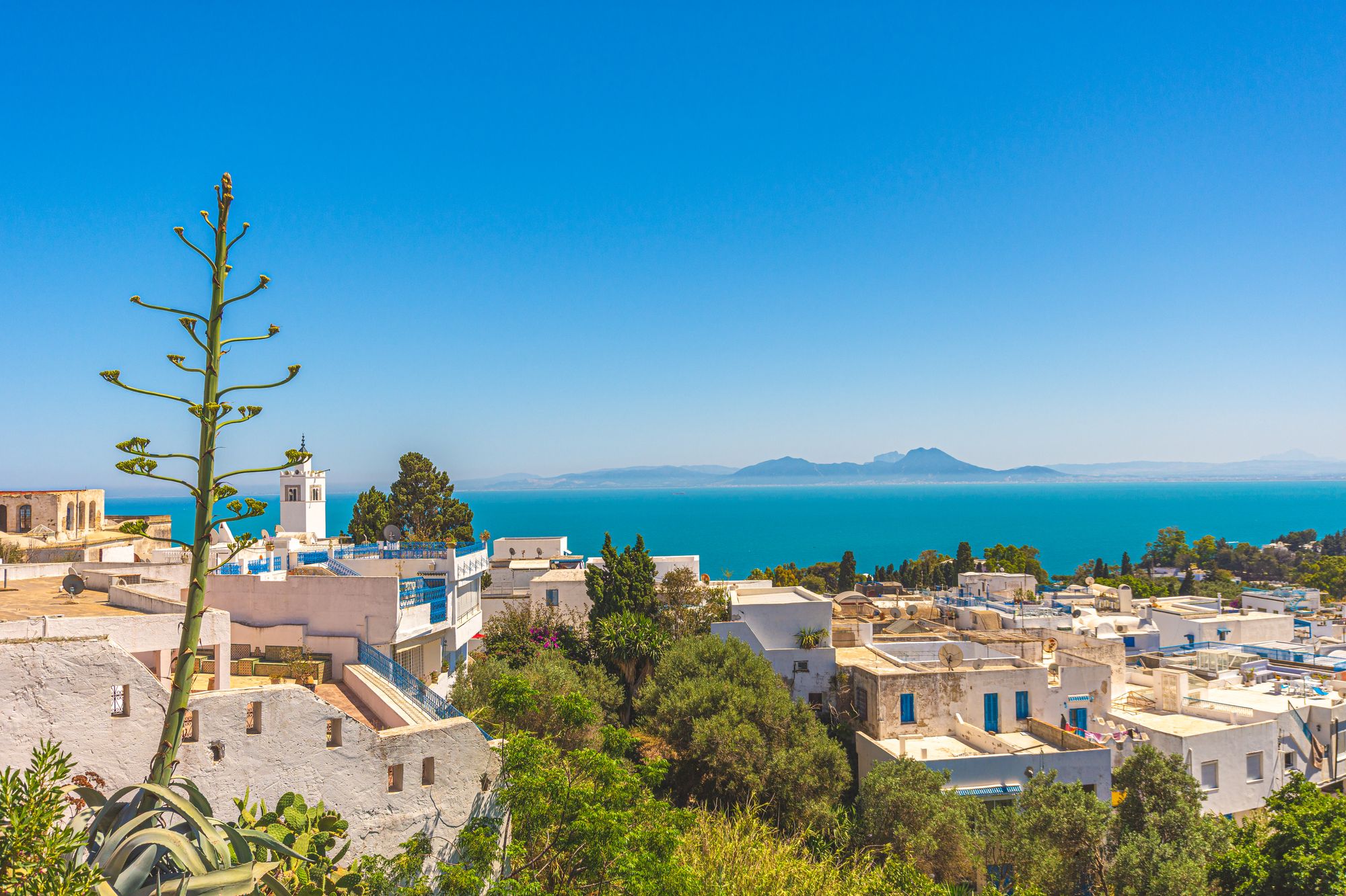 Sidi Bou Said - Any hotel estação dentro de Sidi Bou Said, Tunisia