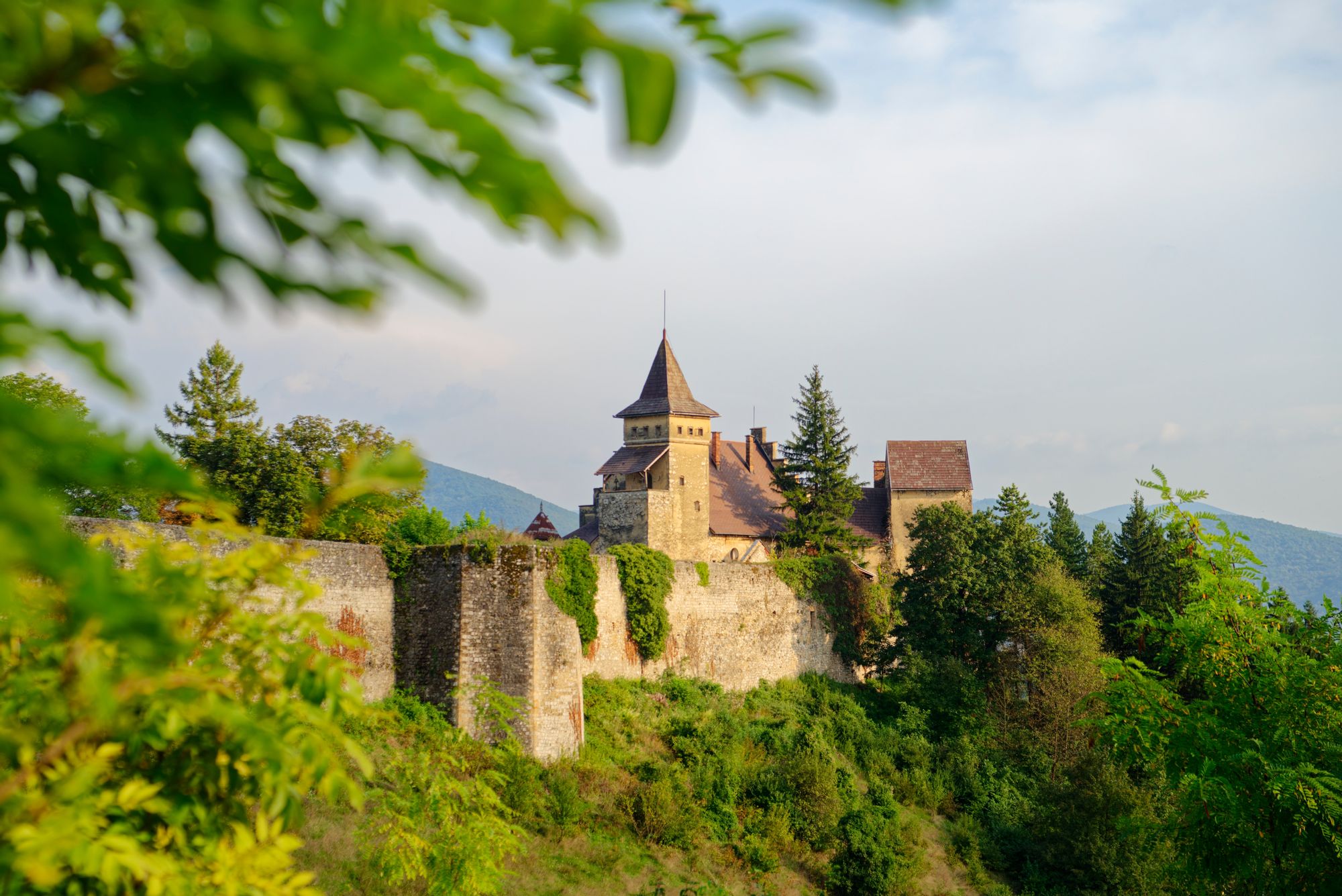 Завораживающий фон центральной станции Cazin