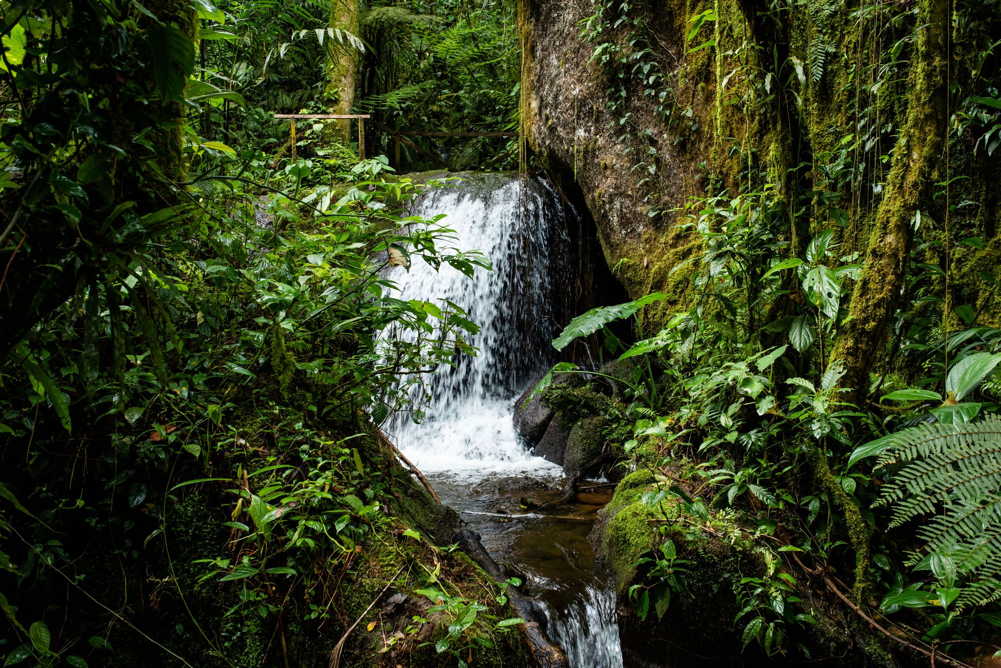 A captivating backdrop of central Penas Blancas, Nicaragua