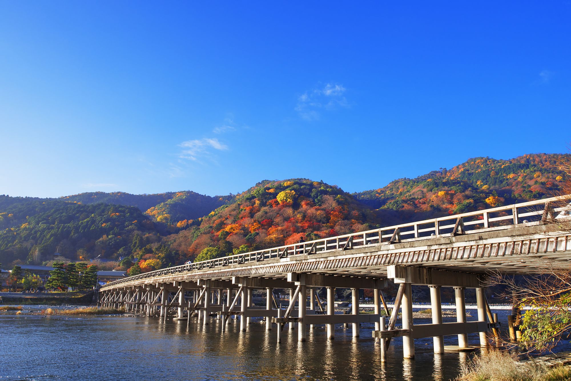 routes_hero-image-alt Arashiyama