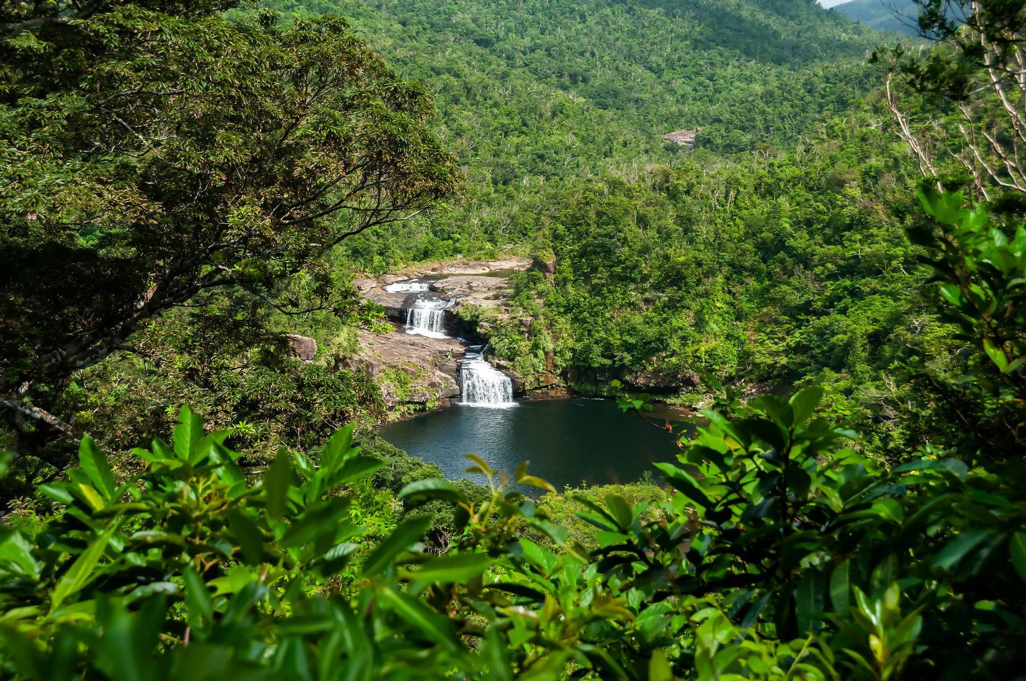 routes_hero-image-alt Iriomote