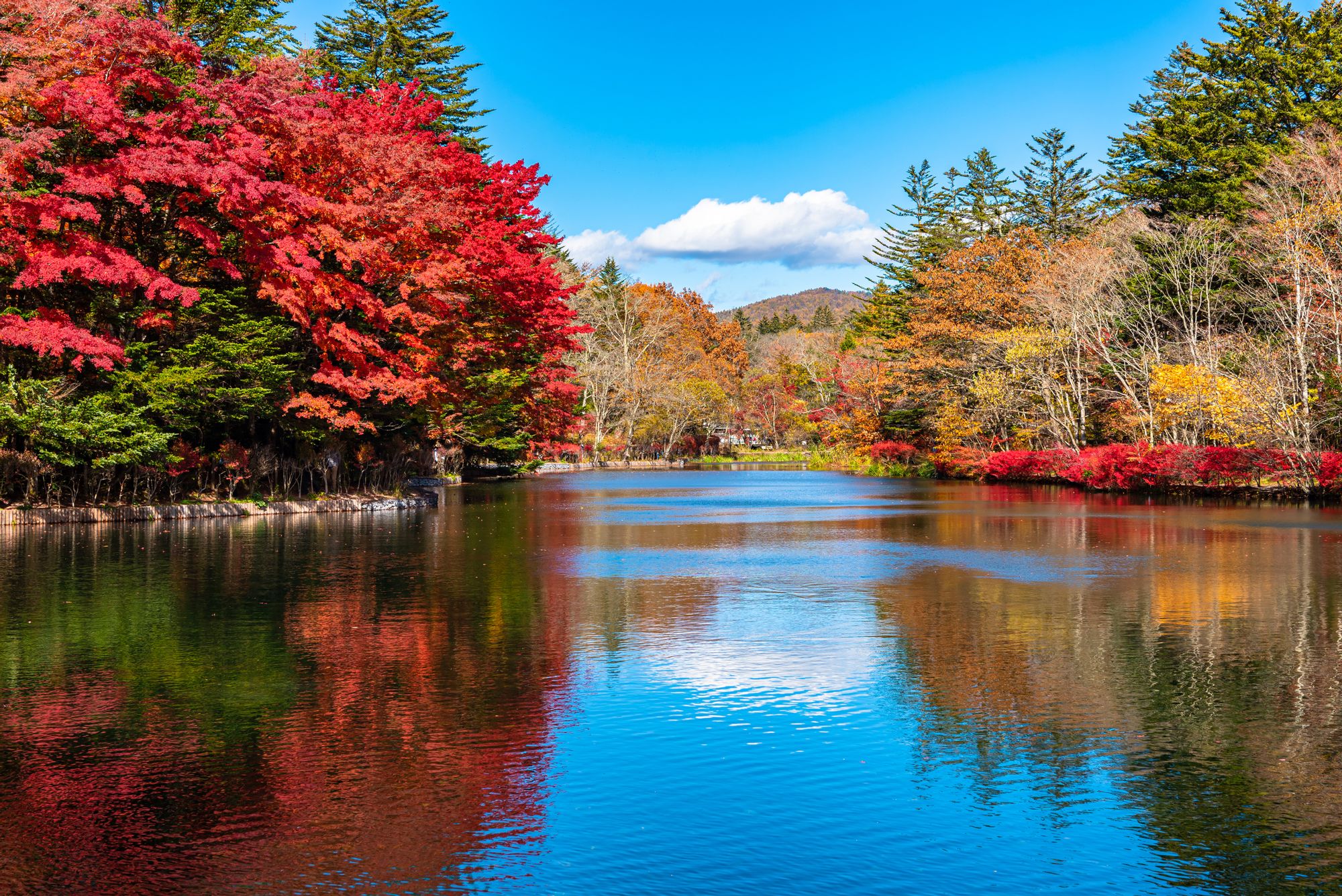 Eine bezaubernde Szenerie vom Zentrum aus Karuizawa