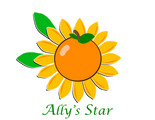 Ally's Star logo