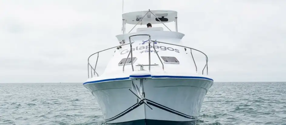 Galapagos Ferry đưa hành khách tới điểm du lịch của mình