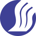 Shandong Airlines logo