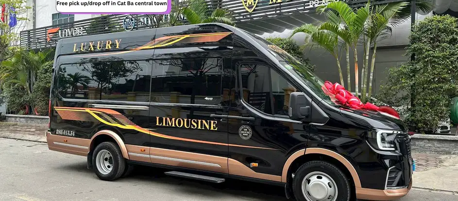 Tung Quang Travel 乗客を旅行先に連れて行く