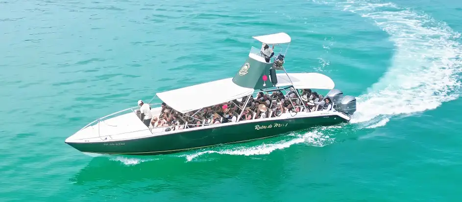 Rutas de Mar 승객을 여행 목적지까지 운송