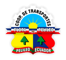 Flota Pelileo logo