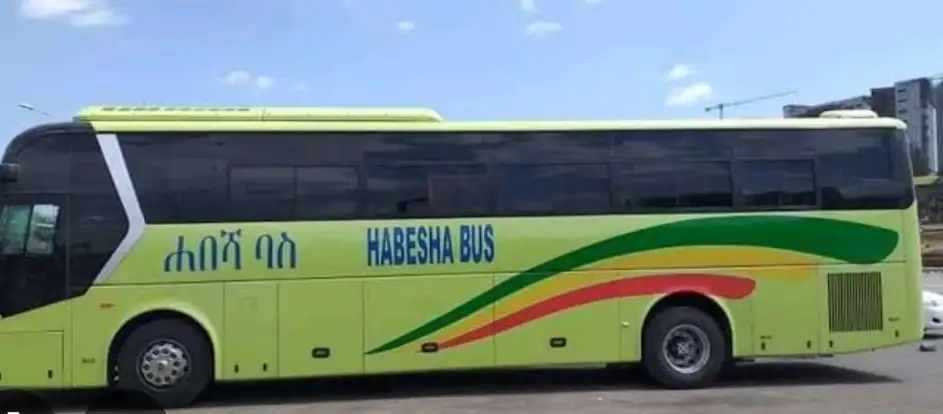 Habesha Bus 승객을 여행 목적지까지 운송
