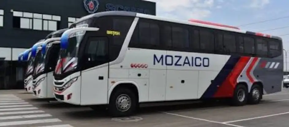 Mozaico Luxury 乗客を旅行先に連れて行く